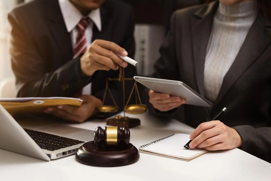 Policy Pulse Investment Law Reforms 2024 – 2025